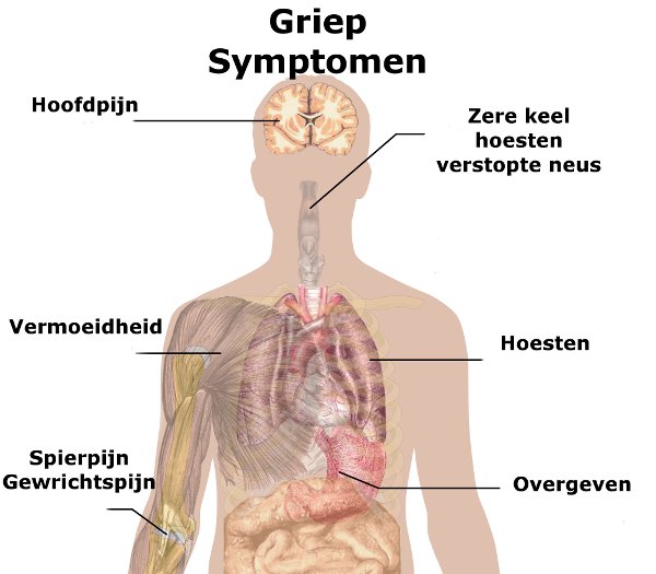 Symptomen griep Symptomen griep